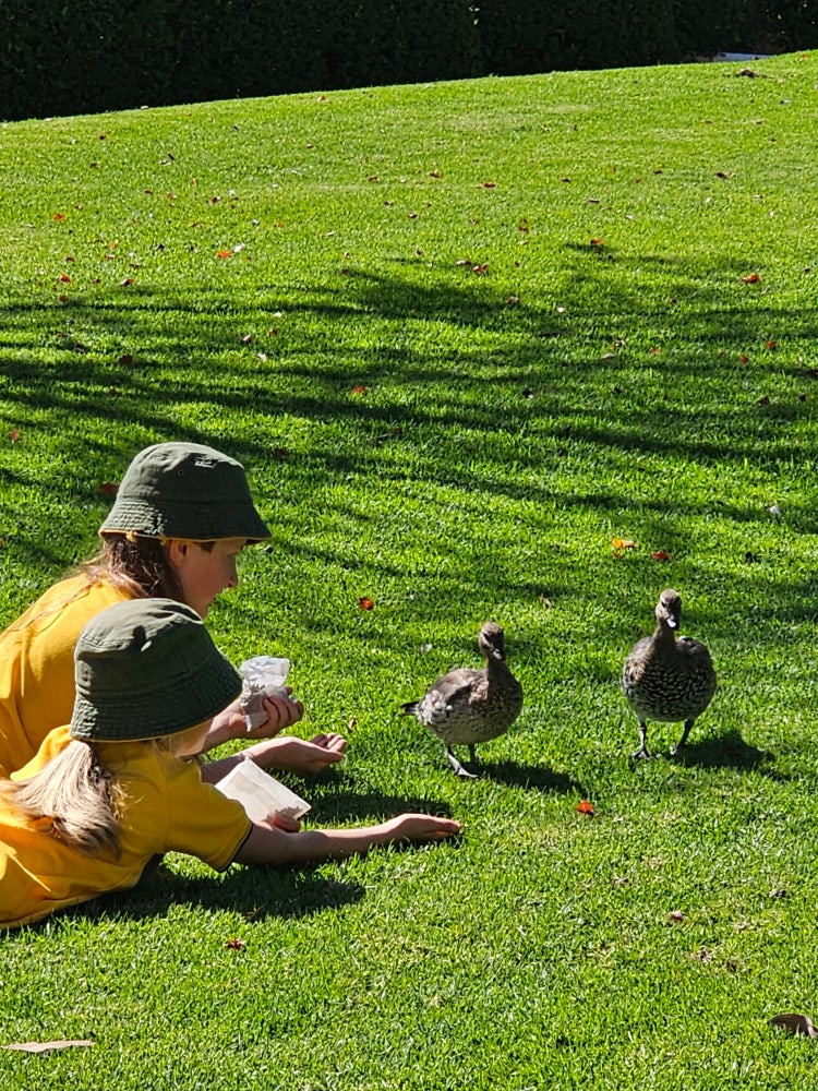 two students laying on the grass feeding two ducks on the green grass